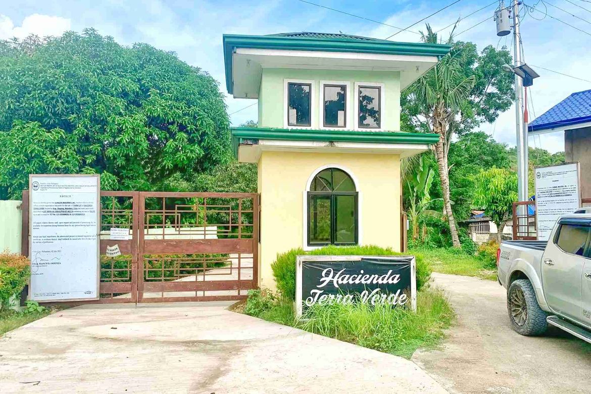 Land for Sale in Cansomoroy, Balamban, Cebu – photo 3