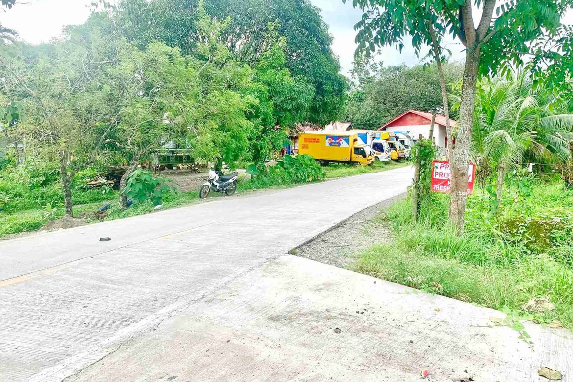 Land for Sale in Cansomoroy, Balamban, Cebu – photo 4