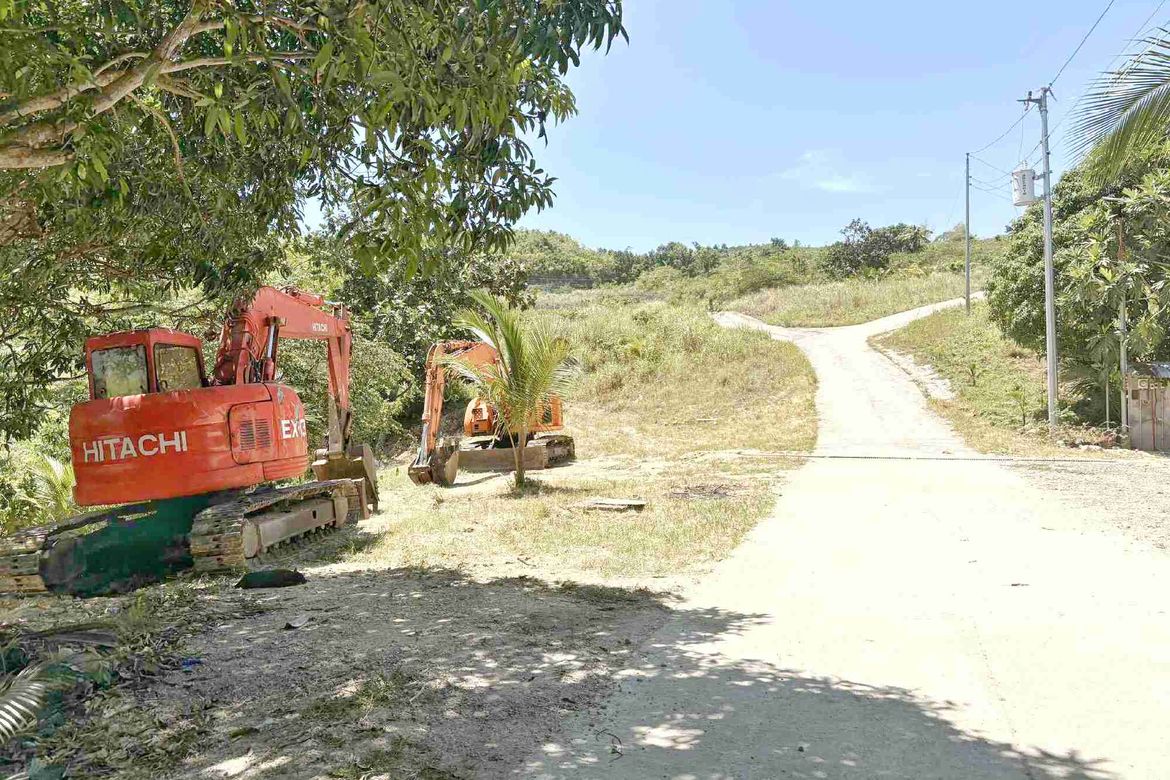 Land for Sale in Cansomoroy, Balamban, Cebu – photo 5