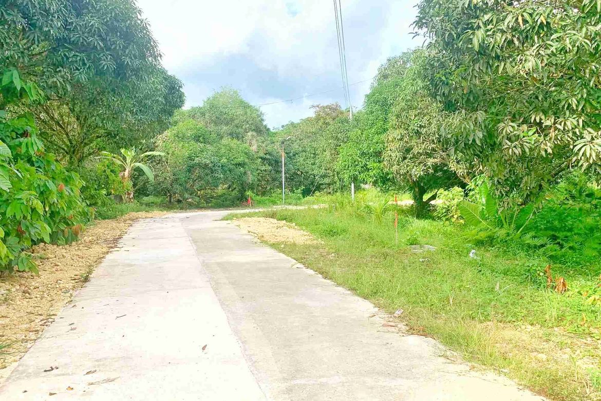 Land for Sale in Cansomoroy, Balamban, Cebu – photo 8