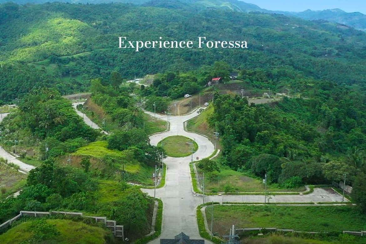 Land for Sale in Cansomoroy, Balamban, Cebu