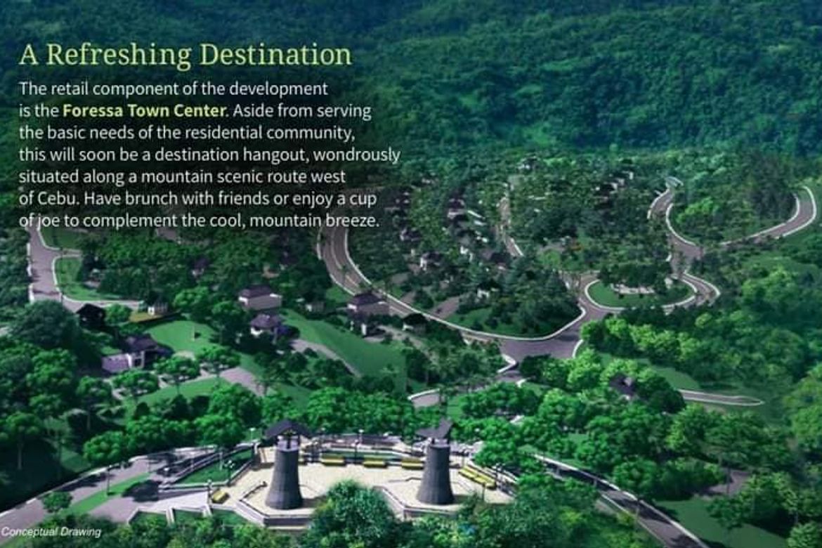 Land for Sale in Cansomoroy, Balamban, Cebu – photo 6