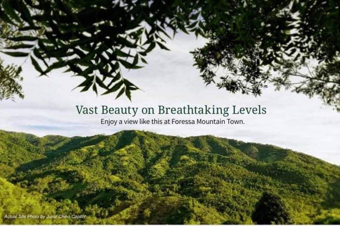 Land for Sale in Cansomoroy, Balamban, Cebu – photo 7