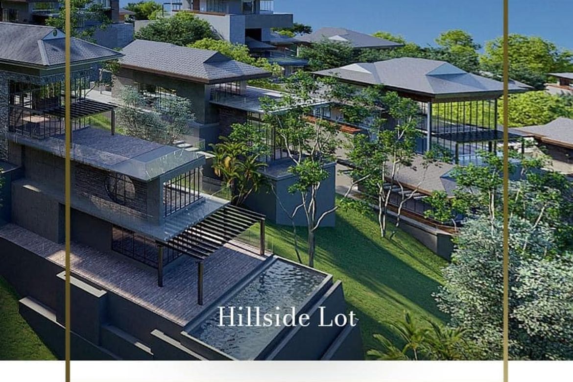 Land for Sale in Cansomoroy, Balamban, Cebu – photo 3