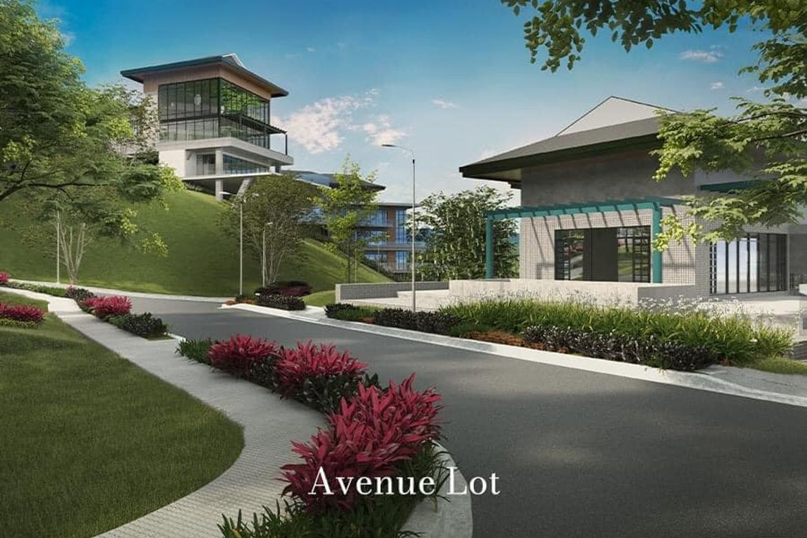 Land for Sale in Cansomoroy, Balamban, Cebu – photo 4