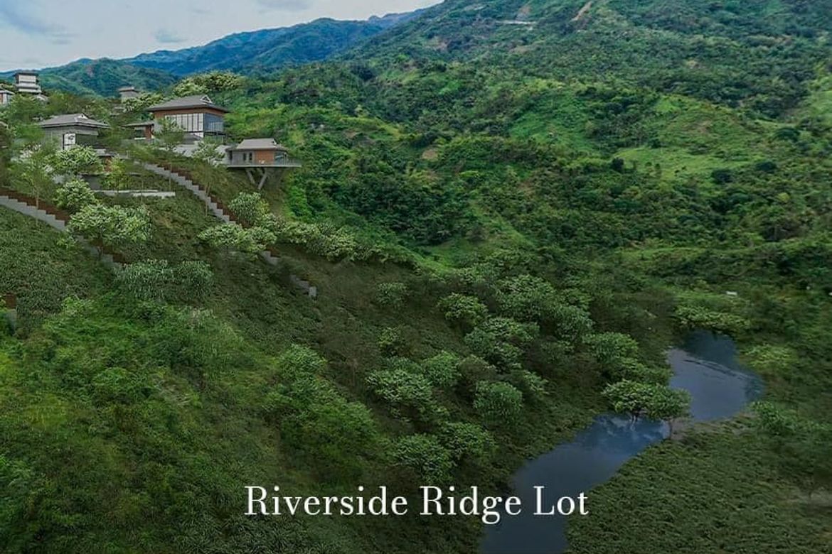 Land for Sale in Cansomoroy, Balamban, Cebu – photo 5