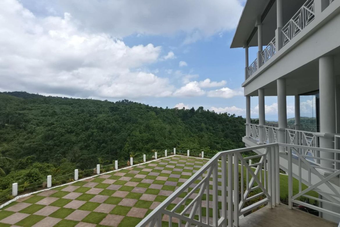 Land for Sale in Cansomoroy, Balamban, Cebu – photo 2