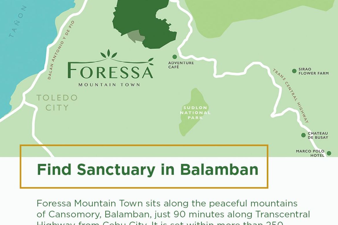 Land for Sale in Cansomoroy, Balamban, Cebu – photo 6