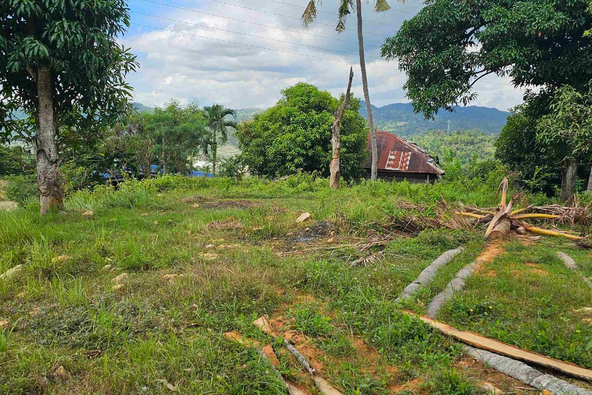 Land for Sale in Cantao-An, Naga, Cebu