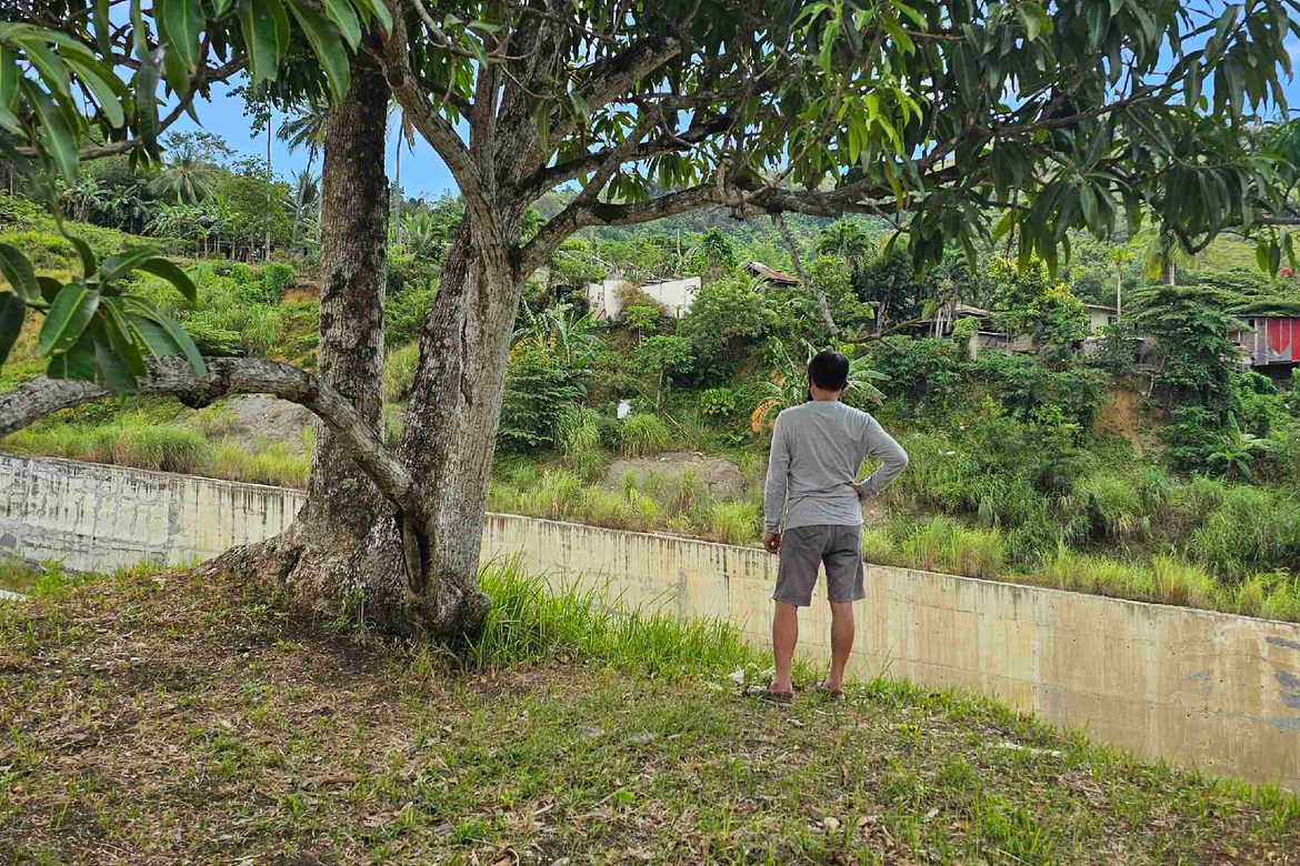 Land for Sale in Cantao-An, Naga, Cebu – photo 2