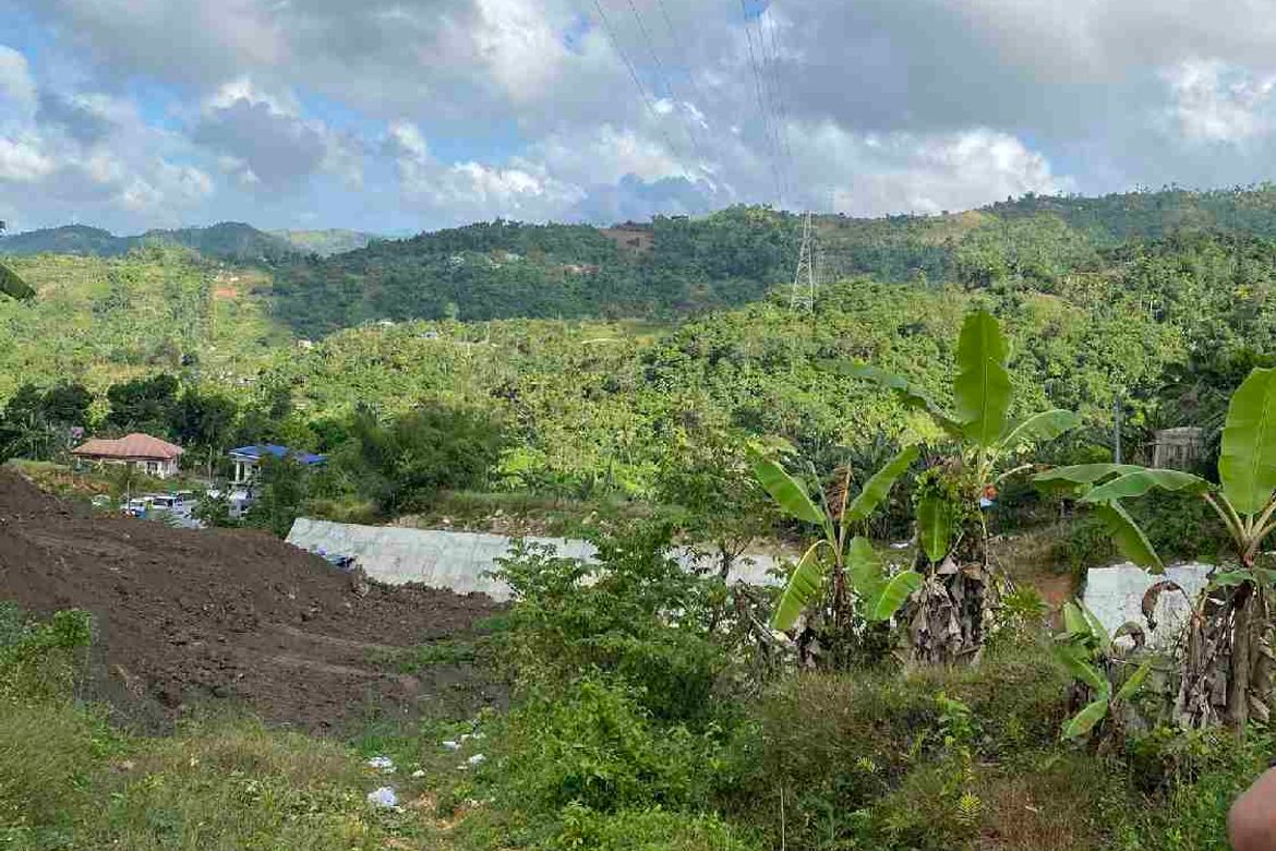 Land for Sale in Cantao-An, Naga, Cebu – photo 7