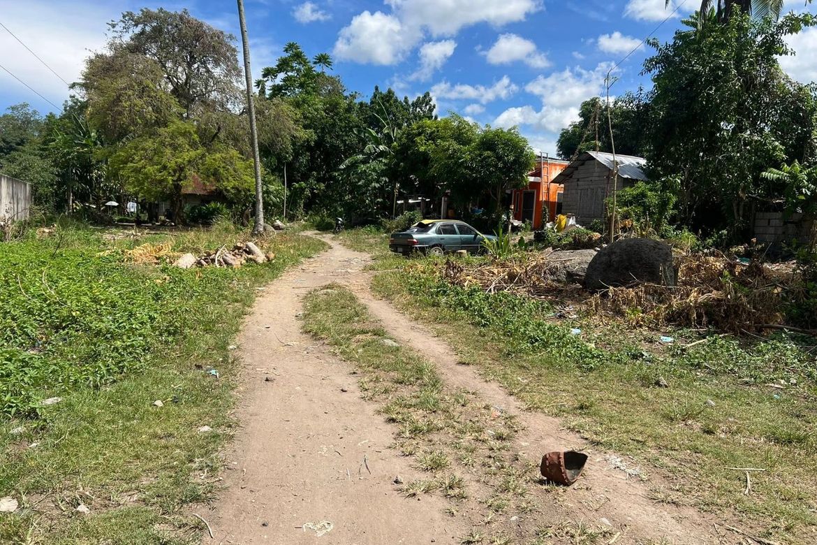 Land for Sale in Cantil-E, Dumaguete, Negros Oriental – photo 4