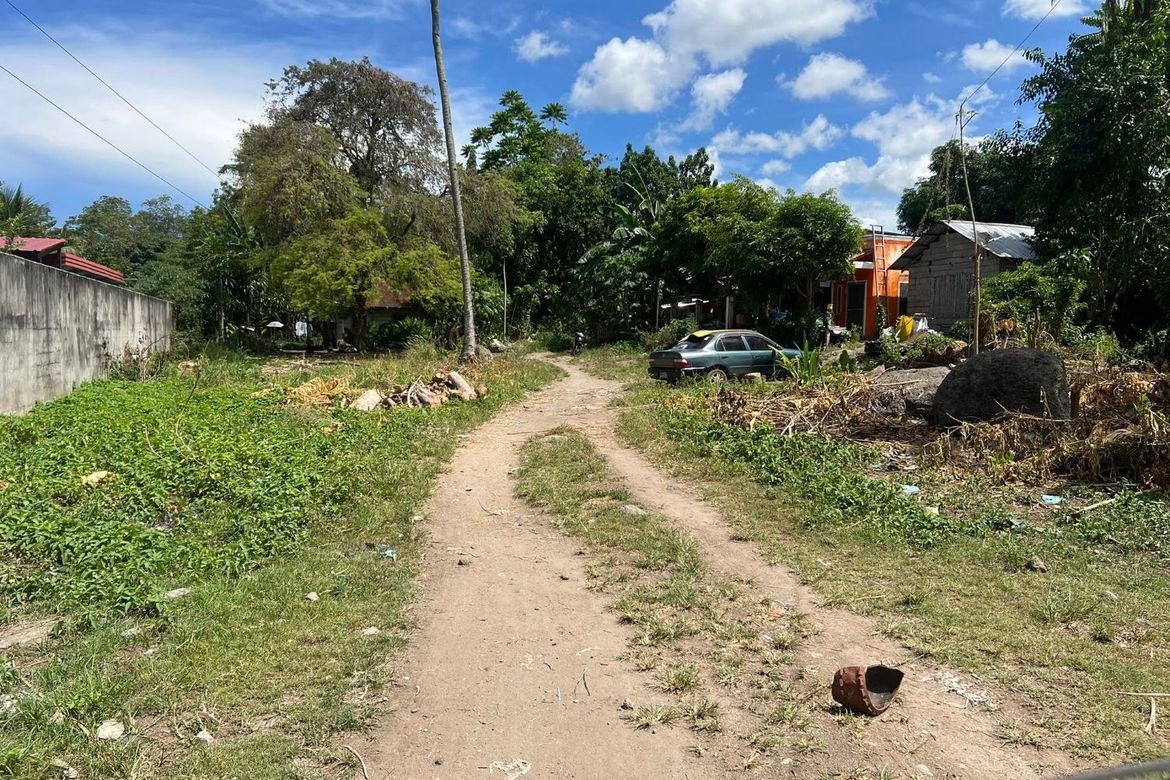 Land for Sale in Cantil-E, Dumaguete, Negros Oriental – photo 5