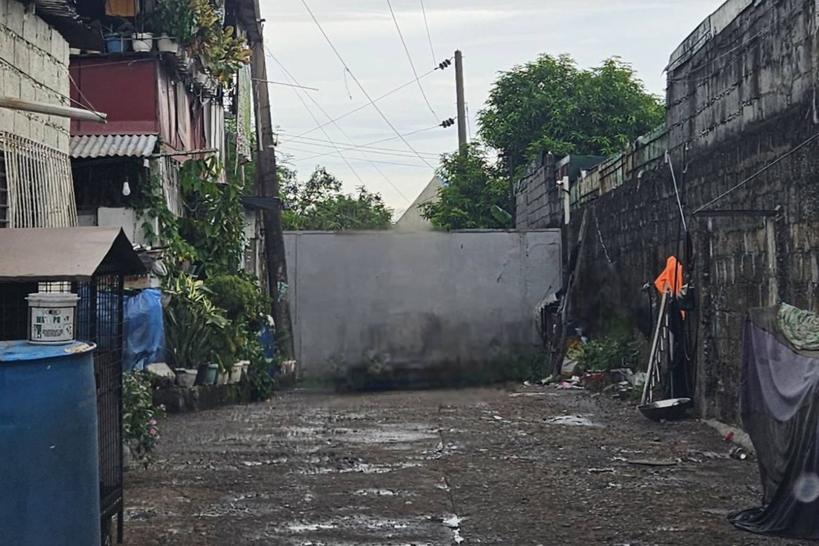 Land for Sale in Canumay, Valenzuela, Metro Manila – photo 5