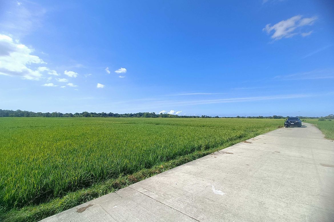 Land for Sale in Capangdanan, Bantay, Ilocos Sur
