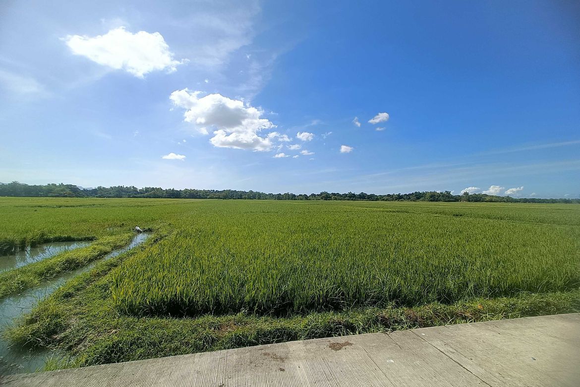 Land for Sale in Capangdanan, Bantay, Ilocos Sur – photo 2