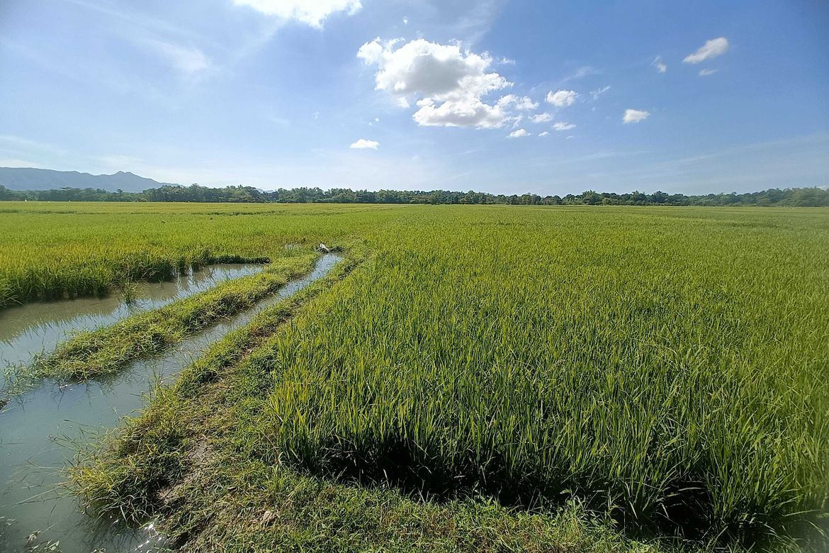 Land for Sale in Capangdanan, Bantay, Ilocos Sur – photo 4