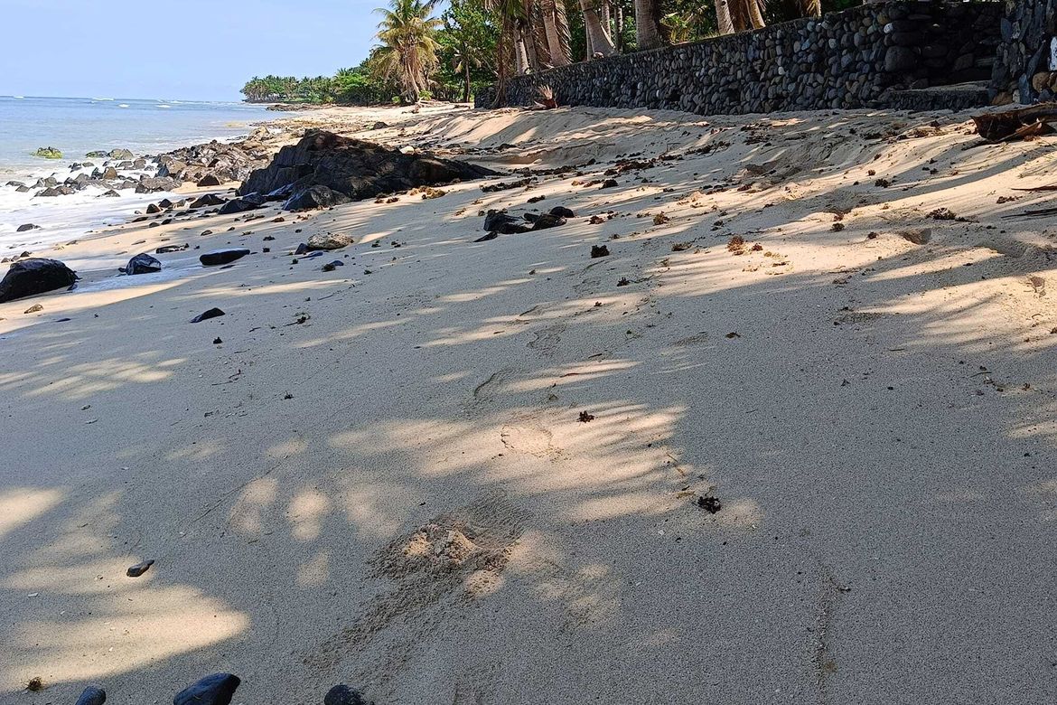 Land for Sale in Caparispisan, Pagudpud, Ilocos Norte