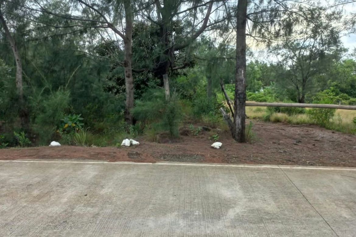 Land for Sale in Caparispisan, Pagudpud, Ilocos Norte – photo 4