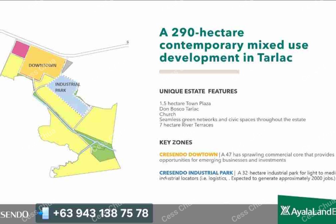 Land for Sale in Capehan, Tarlac, Tarlac – photo 2