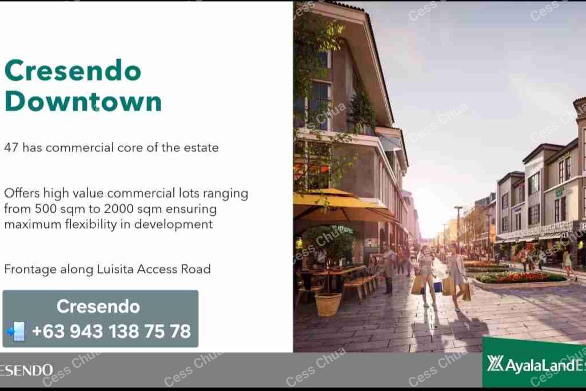 Land for Sale in Capehan, Tarlac, Tarlac – photo 8