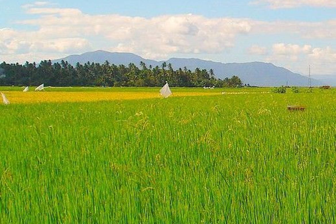 Land for Sale in Capihan, San Rafael, Bulacan – photo 3