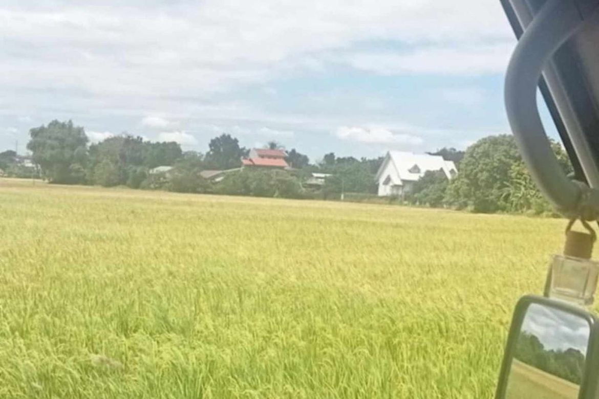 Land for Sale in Capihan, San Rafael, Bulacan – photo 5