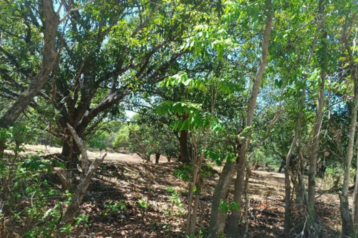 Land for Sale in Capihan, San Rafael, Bulacan