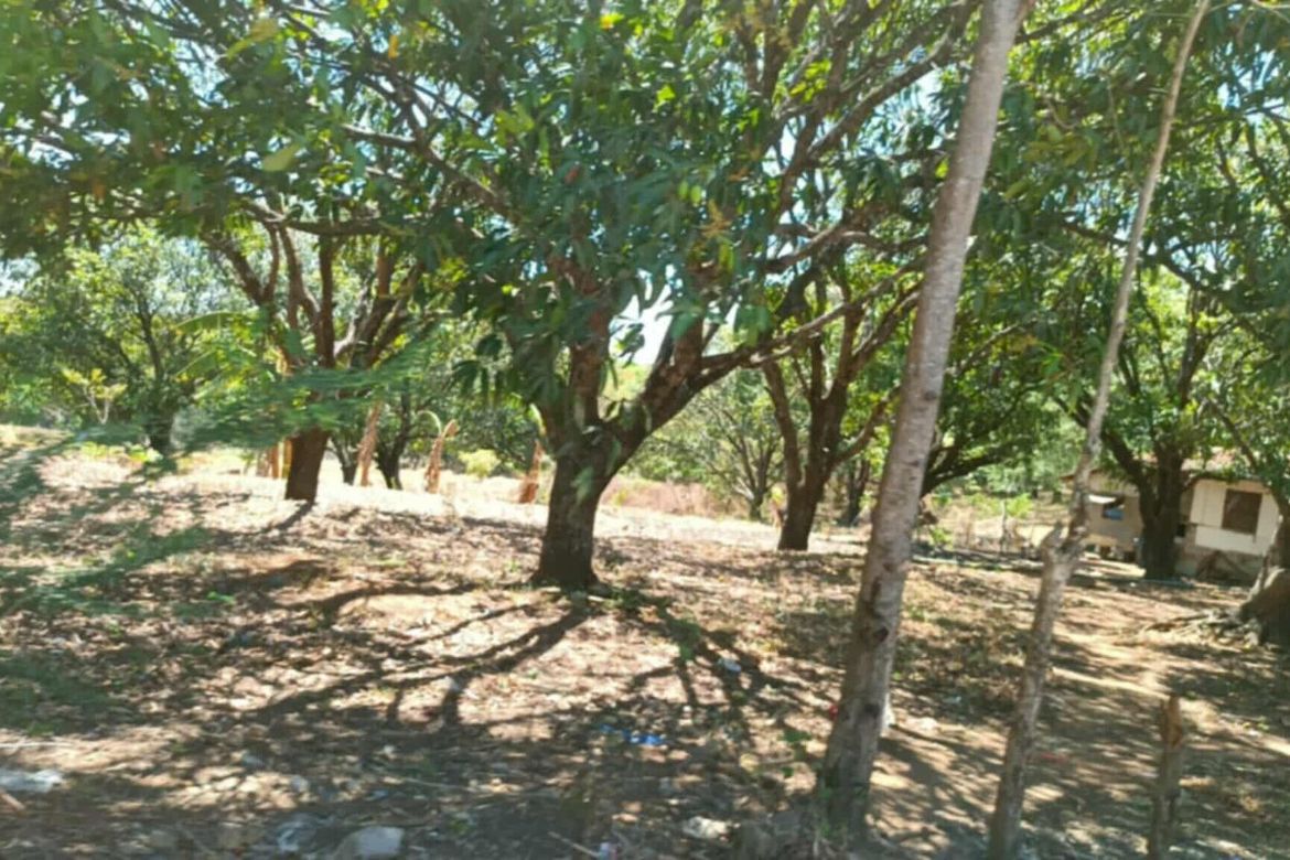 Land for Sale in Capihan, San Rafael, Bulacan – photo 3