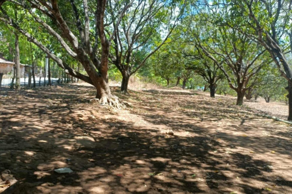 Land for Sale in Capihan, San Rafael, Bulacan – photo 4