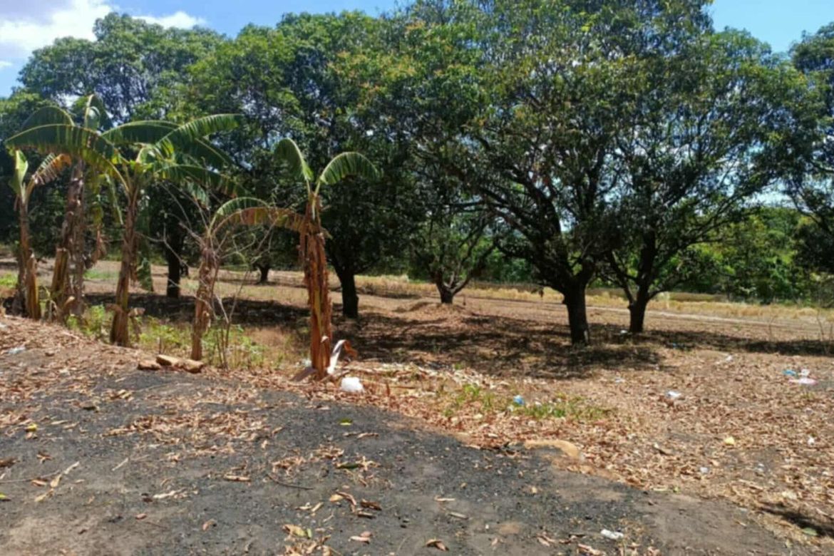 Land for Sale in Capihan, San Rafael, Bulacan – photo 6