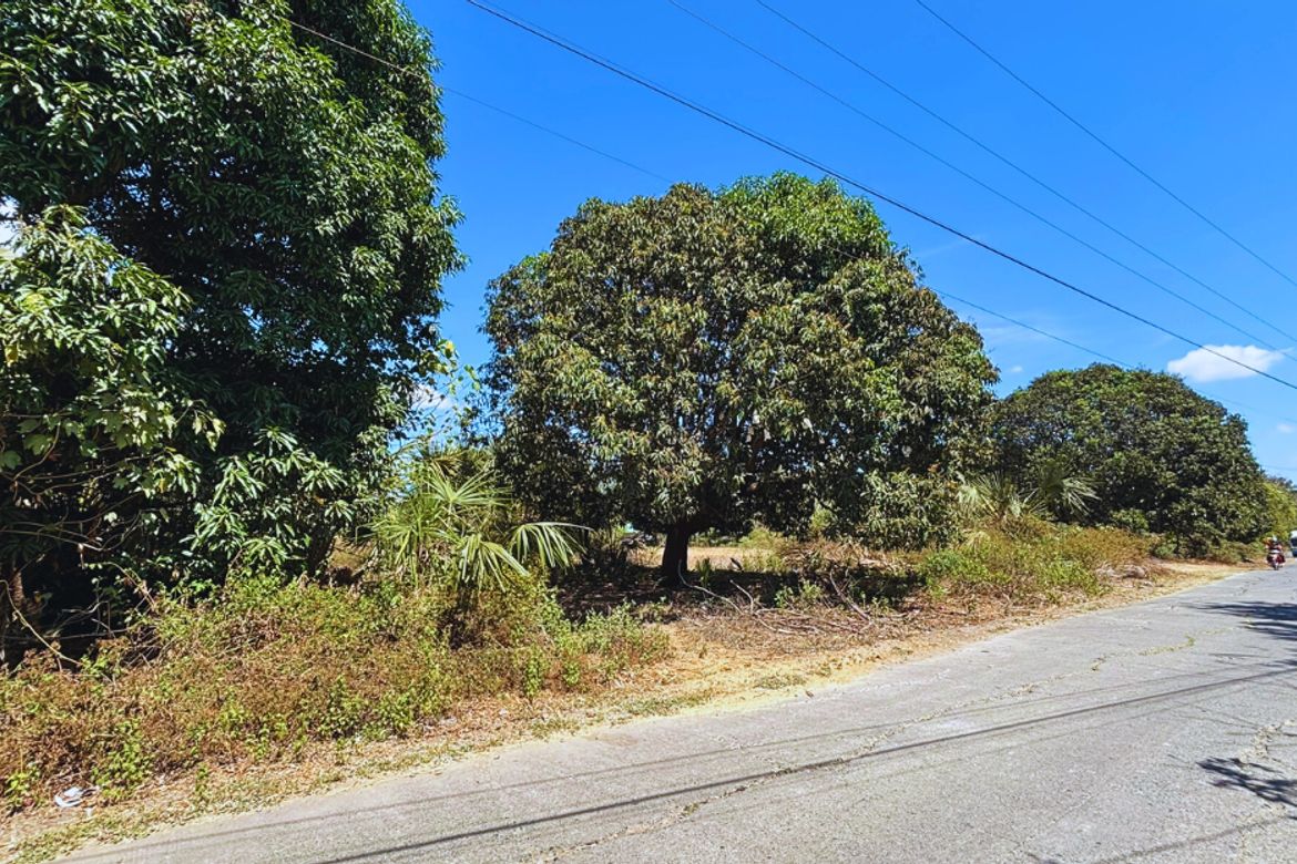Land for Sale in Capulaan, Villasis, Pangasinan – photo 3