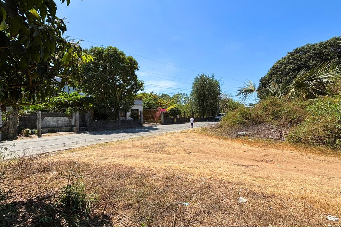 Land for Sale in Capulaan, Villasis, Pangasinan – photo 4