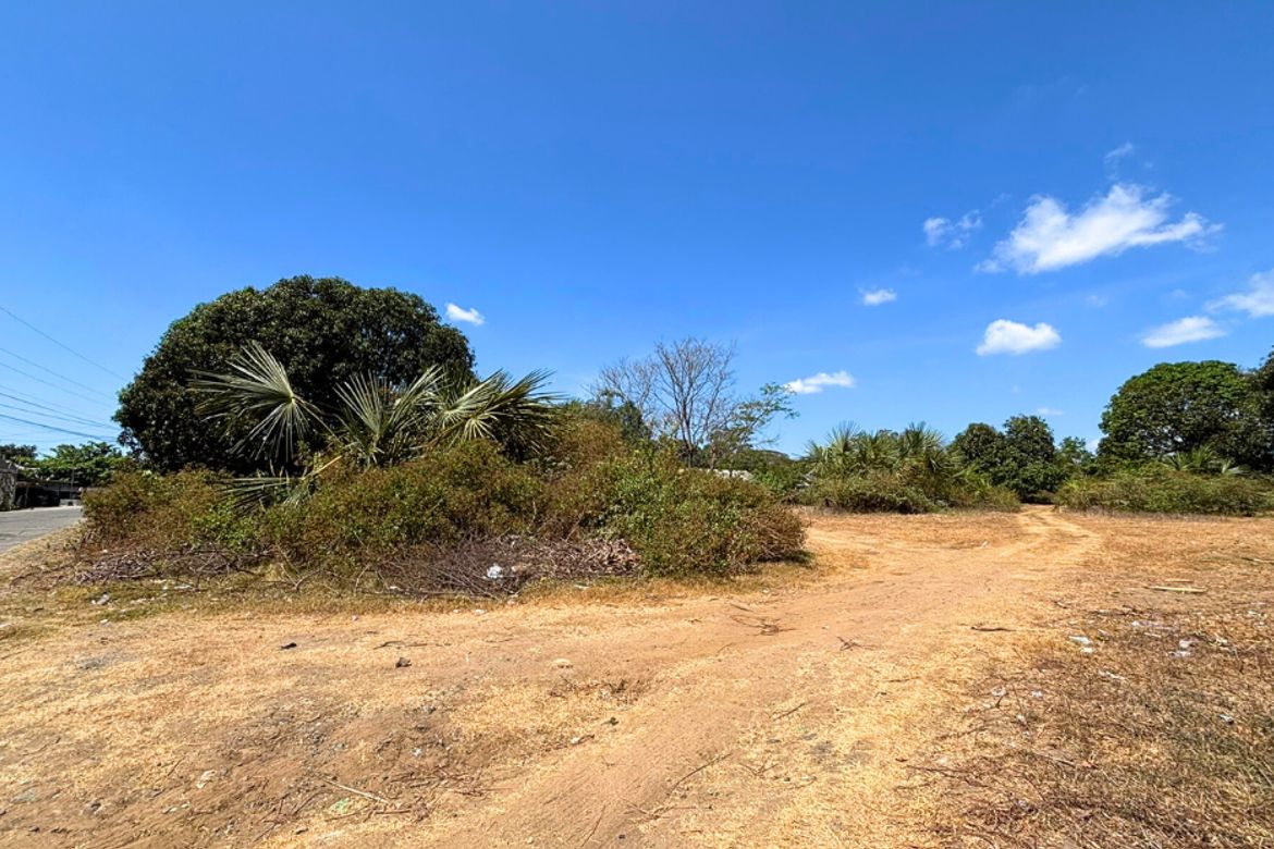 Land for Sale in Capulaan, Villasis, Pangasinan – photo 5