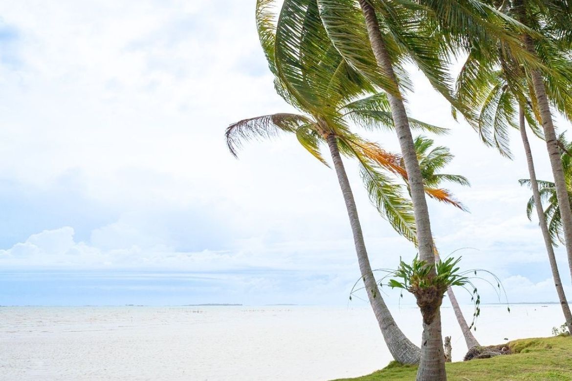 Land for Sale in Caramay, Roxas, Palawan – photo 5