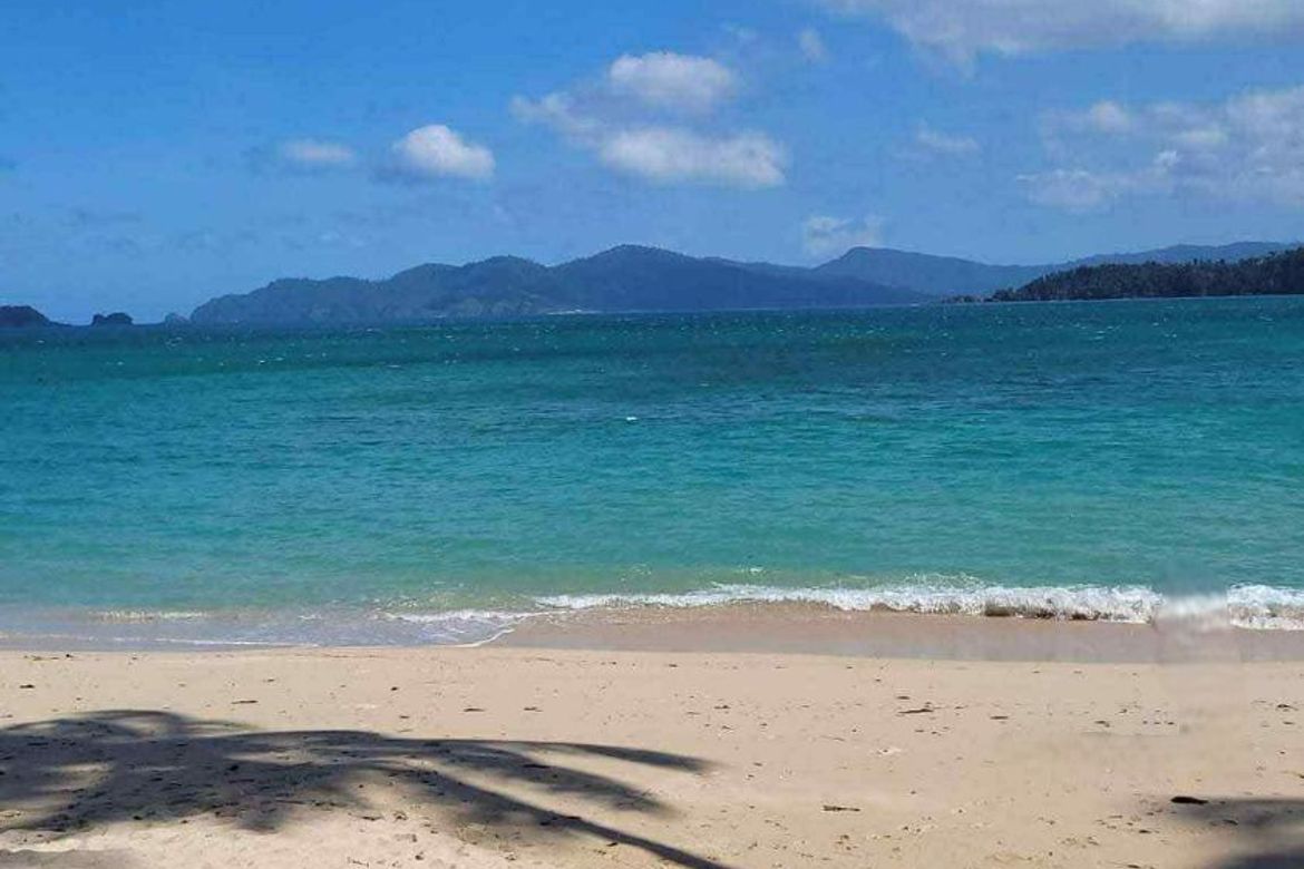 Land for Sale in Caramay, Roxas, Palawan – photo 4