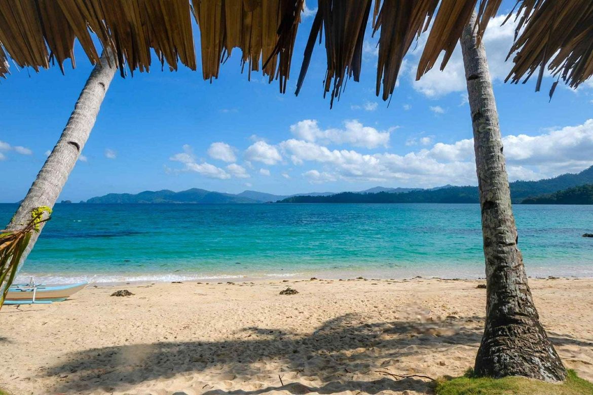 Land for Sale in Caramay, Roxas, Palawan – photo 6