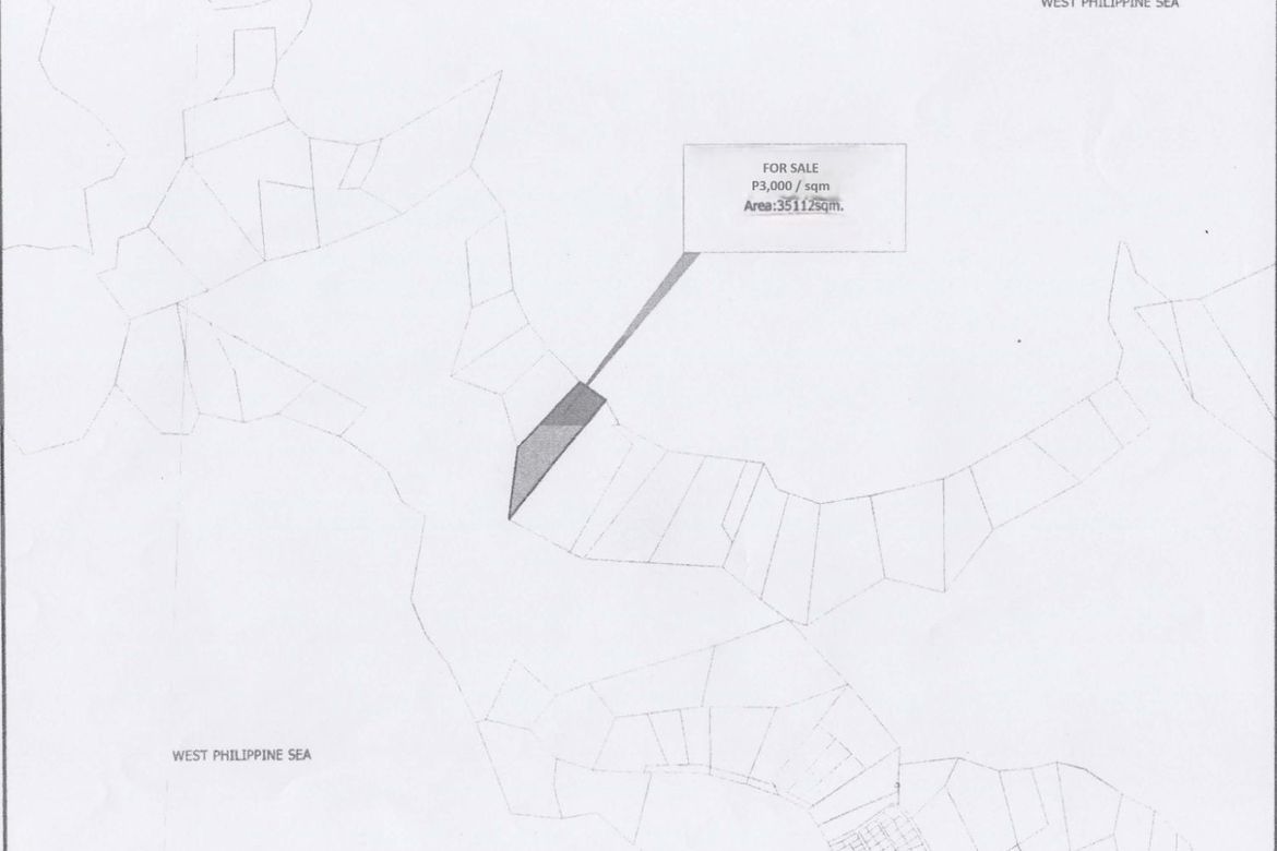 Land for Sale in Caramay, Roxas, Palawan – photo 7