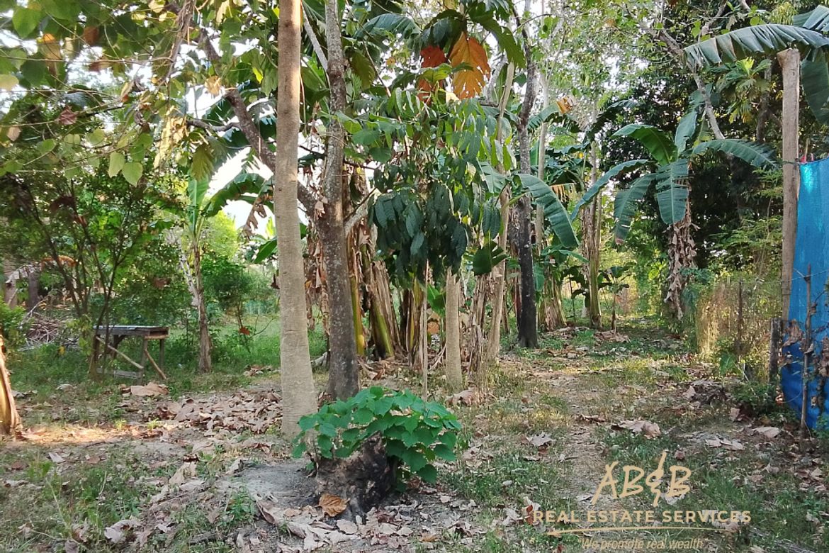 Land for Sale in Caramutan, Villasis, Pangasinan – photo 4