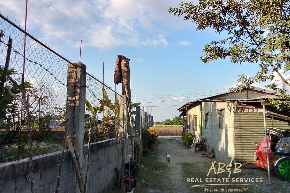 Land for Sale in Caramutan, Villasis, Pangasinan – photo 6