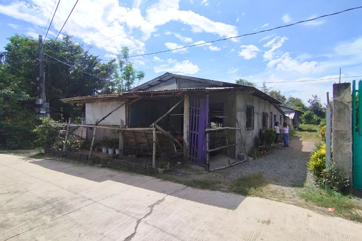 Land for Sale in Caramutan, Villasis, Pangasinan – photo 8