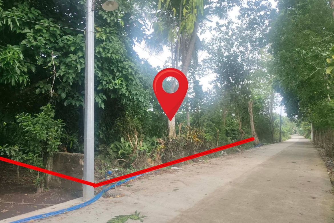 Land for Sale in Cararayan, Naga, Camarines Sur – photo 3