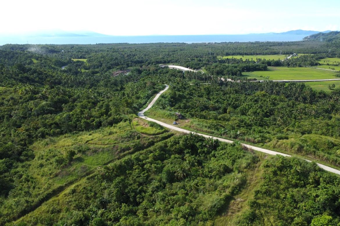 Land for Sale in Caraycaray, San Miguel, Leyte
