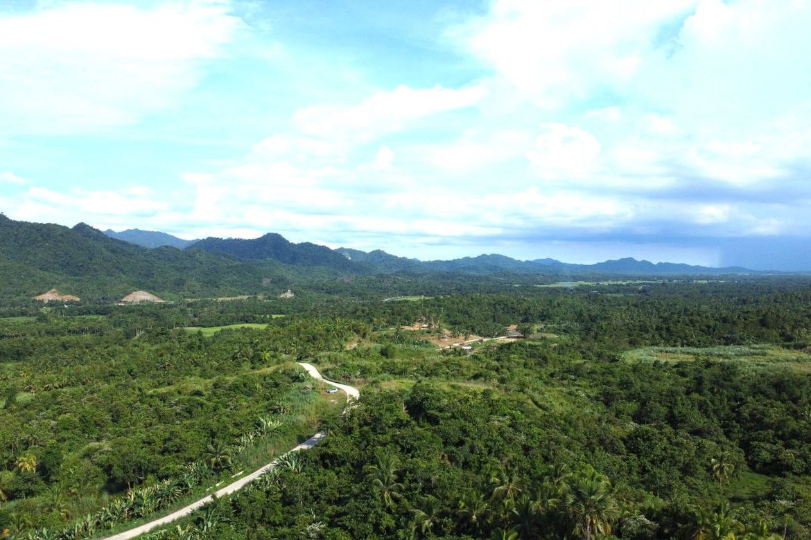 Land for Sale in Caraycaray, San Miguel, Leyte – photo 2