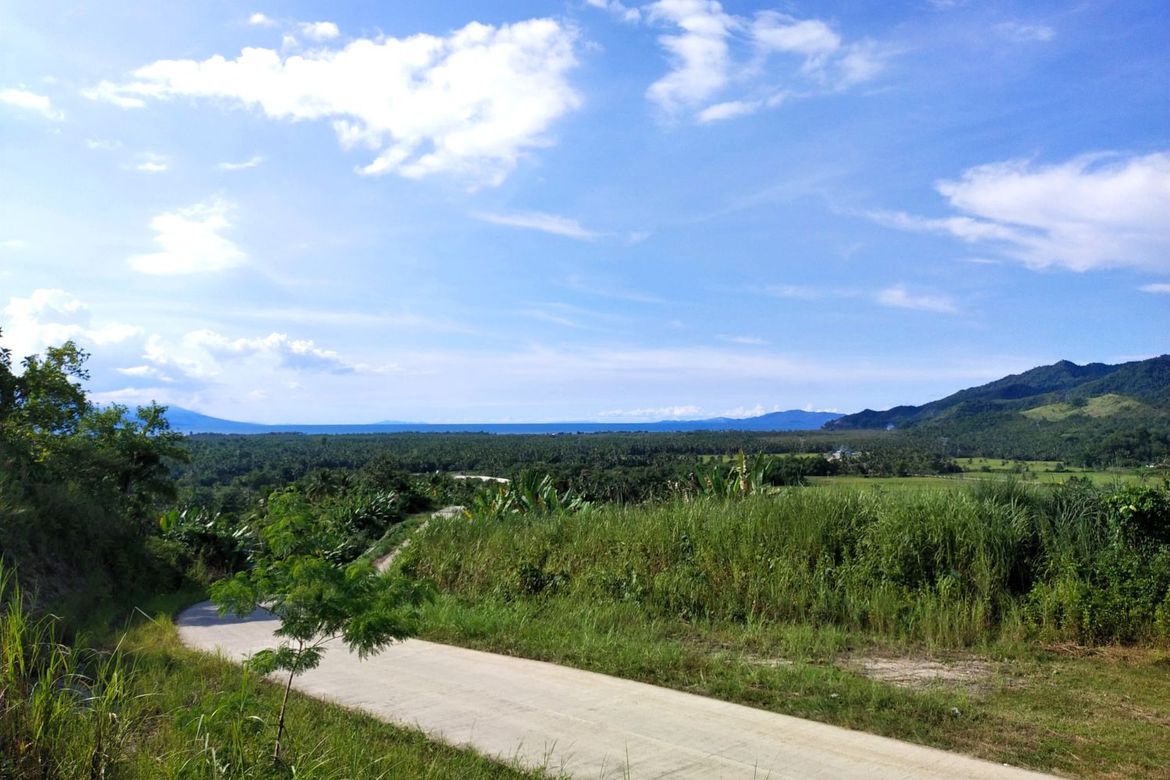 Land for Sale in Caraycaray, San Miguel, Leyte – photo 3