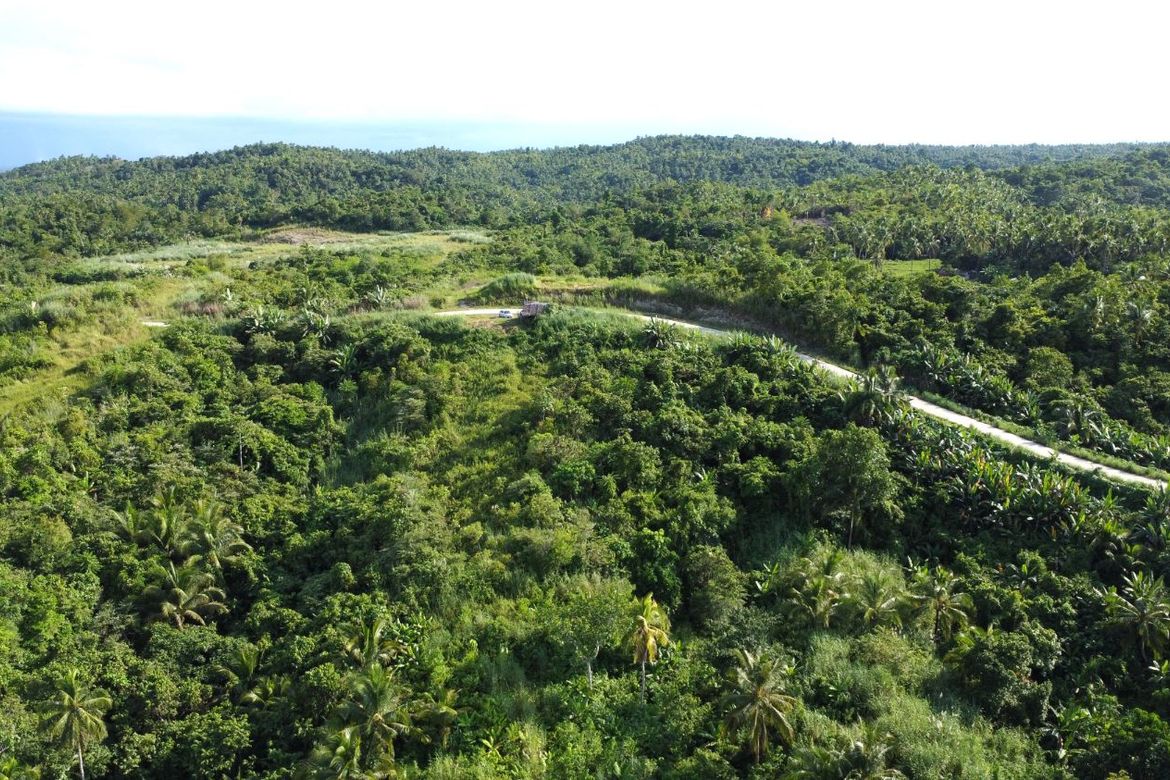Land for Sale in Caraycaray, San Miguel, Leyte – photo 6