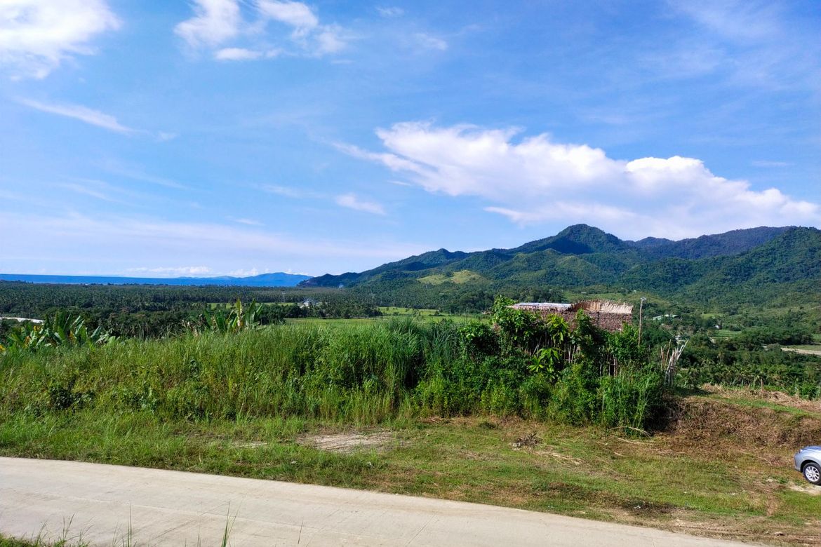 Land for Sale in Caraycaray, San Miguel, Leyte – photo 7