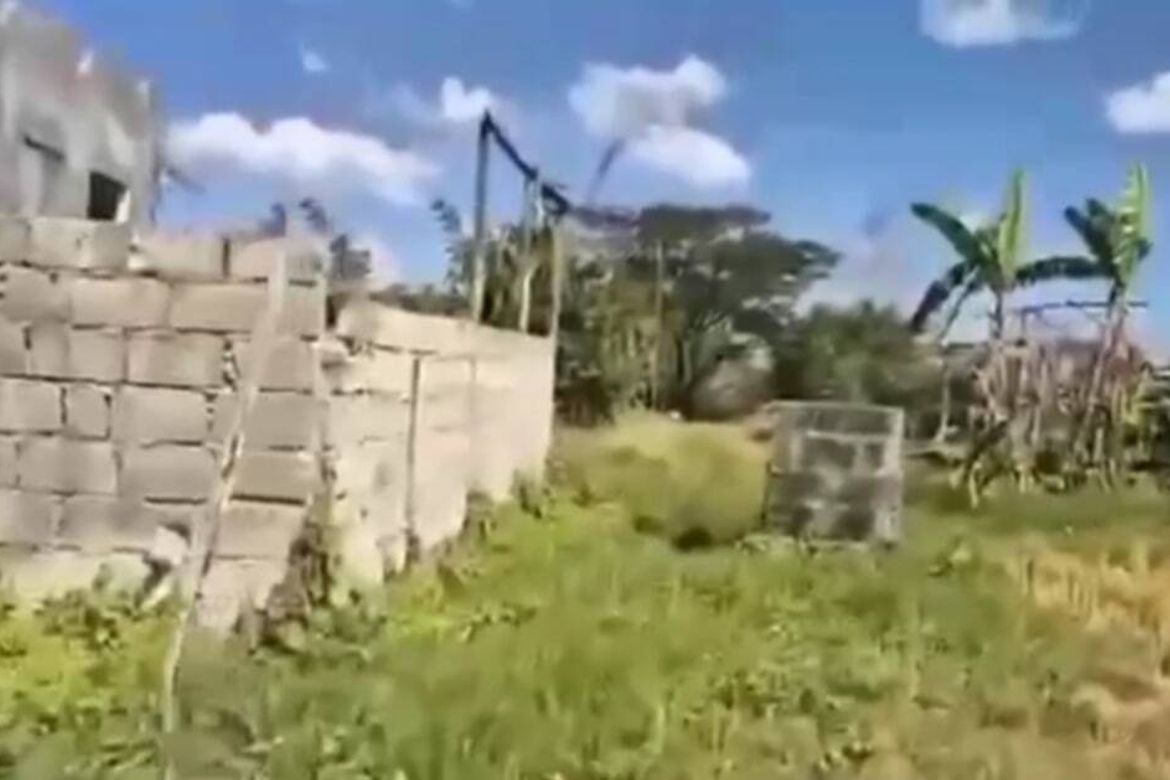 Land for Sale in Care, Tarlac, Tarlac – photo 2