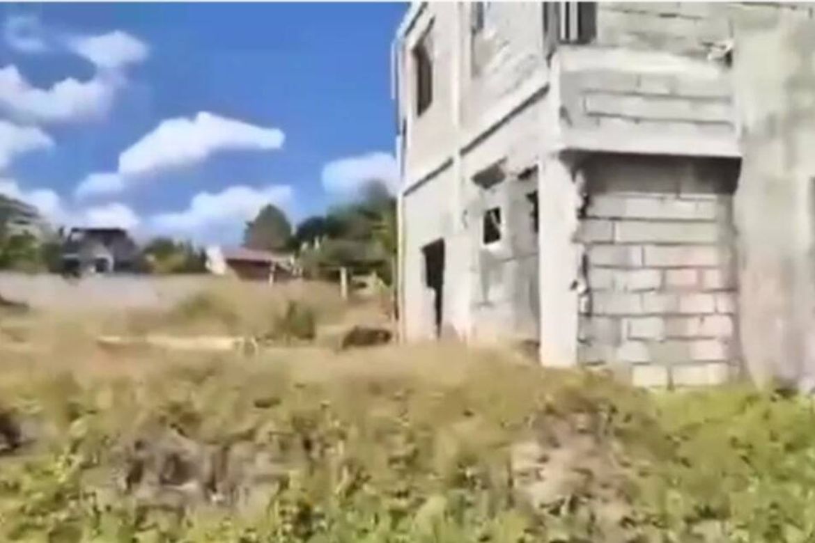 Land for Sale in Care, Tarlac, Tarlac – photo 6