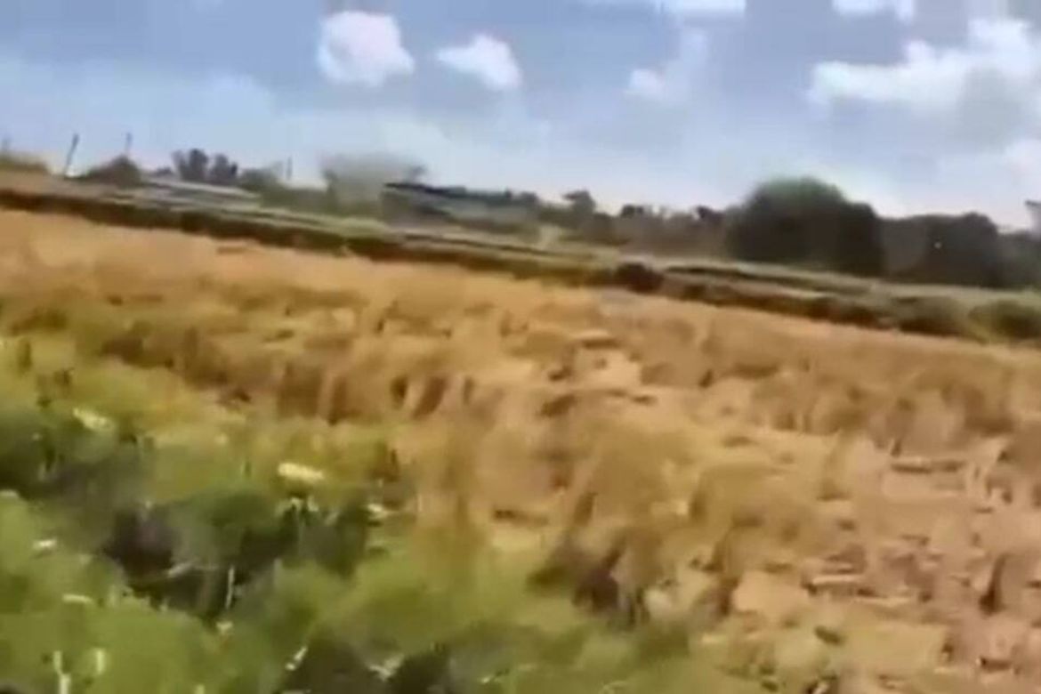 Land for Sale in Care, Tarlac, Tarlac – photo 7